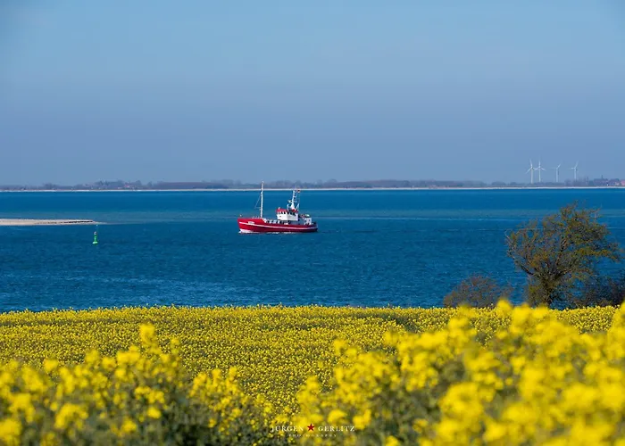 Lounge Am * ダンプ